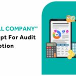 “SMALL COMPANY” CONCEPT FOR AUDIT EXEMPTION in singapore